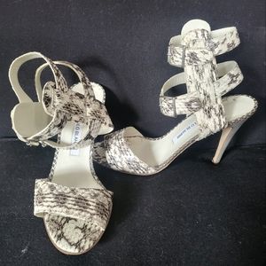 MANOLO BLAHNIK Snakeskin Animal Print Gladiator Sandals